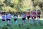 Boys under-15s, 2022 NECAA Cross Country Relays, Thornley Hall Farm, Peterlee, County Durham, October 15th. Photo: David T. Hewitson/Sports for All Pics